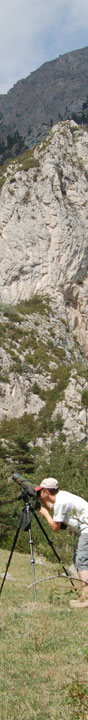 spain birding vacation tour trip break holiday pyrenees photo