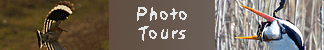 photographic birding tours in spain catalonia barcelona banner